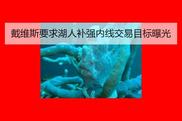 戴维斯要求湖人补强内线交易目标曝光