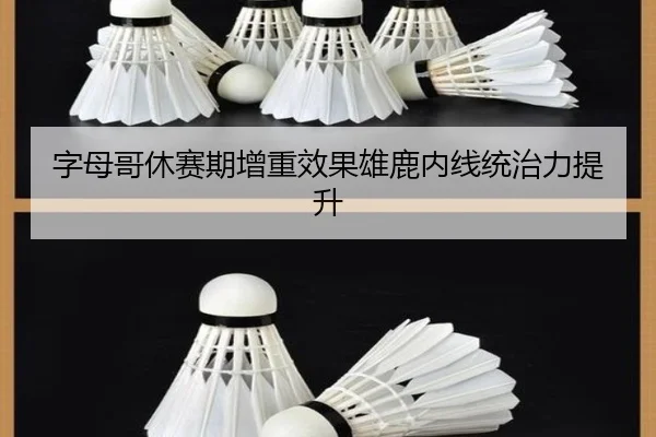 字母哥休赛期增重效果雄鹿内线统治力提升